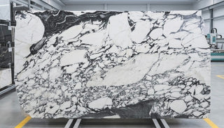 Arabescato Corchia Marble
